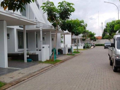 Disewakan Rumah Cluster Inspirahaus, Tabebuya BSD ( Lia )