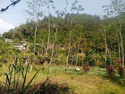 Disewakan Tanah di songgoriti dekat Hot spring, Kota Batu