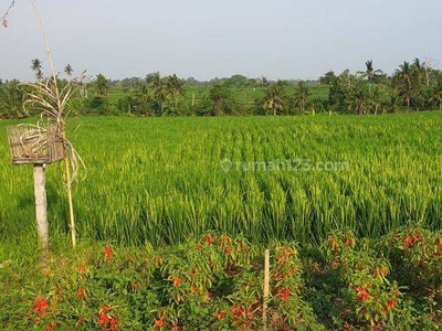 For lease freehold land in Ubud Mas , ricefiel view ,only 10 minutes from central Ubud
