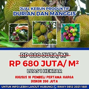 Jual Lahan Kebun Bisnis Durian Dan Manggis Di Bogor