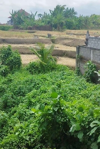 land for rent ubud yelow zone