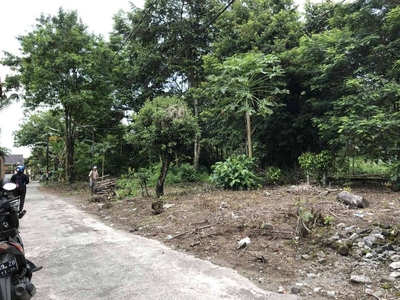 SHM Pekarangan, Siap Akad Notaris: Tanah di Purwomartani