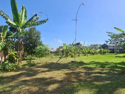 Tanah 4773 m² Blkang Superindo Sukabumi di Jl. Amubawa Sasana
