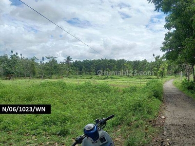 Tanah Di Ranca Buaya Garut Dekat Jalan Provinsi