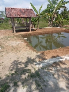 tanah kolam Kedung banteng purwokerto
