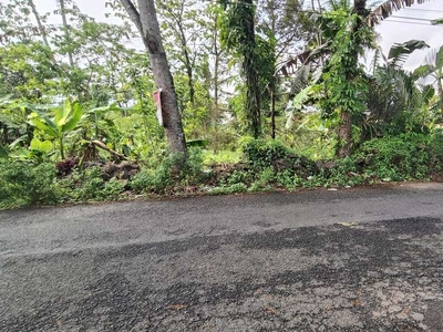 Tanah kosong pinggir jalan dekat Wisata Owabong Bojongsari Purbalingga