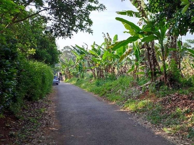 Tanah Murah di Blk Terminal Gunungpati Kec Gunungpati Semarang