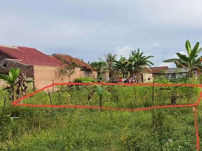 Tanah murah di gang 7 rajawali desa candimas Kecamatan Natar