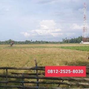 Tanah murah luas 1543m di meurah mulia aceh utara