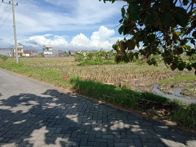 TANAH SAWAH di CANGKRINGSARI SUKODONO SDA Plot PERUMAHAN.