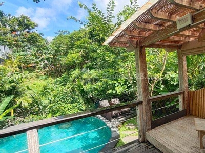 Villa murah dijual di Ubud bali dengan view sungai dan jungle