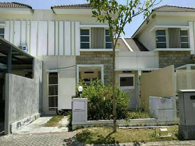 Jual/sewa rumah baru gress lebar 8m di Puri Surya Jaya