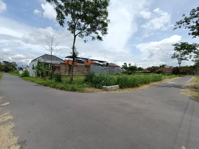 Dekat Jl. Kaliurang Km 10, Tanah Jogja; View Sawah