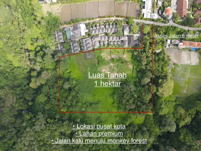 Di jual tanah premium jalan Bisma, Ubud, Gianyar, Bali