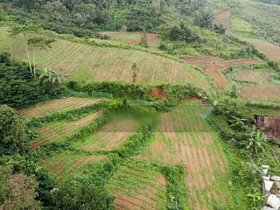 Dijual tanah di cianjur selatan