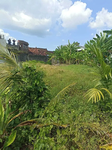 Disewakan tanah komersil lokasi padonan canggu