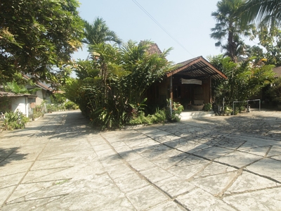 Homestay + Rumah Jawa Plus Joglo Dekat Merapi Park Pakem Sleman
