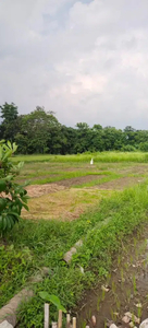 Jual Sawah Sidomoyo Godean