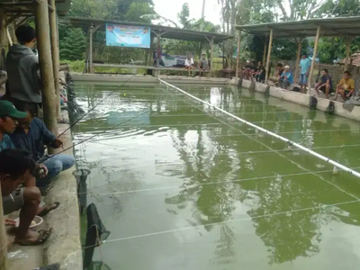 Sewakan Kolam Pemancingan Daerah Tenjo Bogor