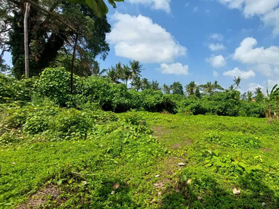 Tanah Kemenuh Ubud