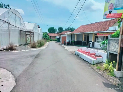 Tanah murah di Mlati Sleman Yogyakarta