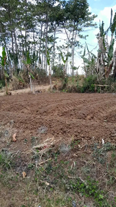 Tanah Murah Siap Bangun Hunian, Lokasi Strategis, Kota Malang