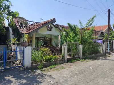Tanah Murah Tlogo Timur Palebon Kec. Pedurungan Kota Semarang