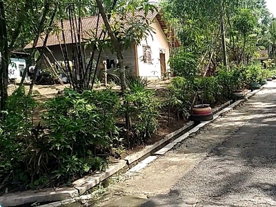 Tanah pekarangan murah & bagus 1jt/m2 belakang kampus IKIP PGRI Wates