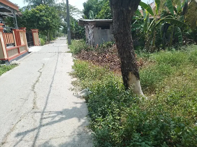 Tanah Pinggir Jalan kampung Jual Murah di Jayabakti