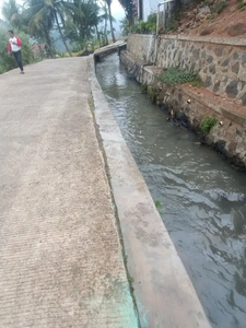 Tanah sawah cocok untuk kolam ikan