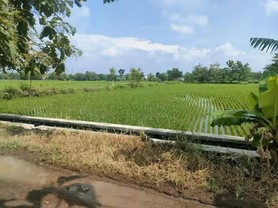 Tanah Sawah samping Perumahan Cluster