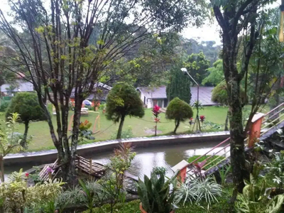 Villa 1 Ha di Gunung Bunder, Bogor dekat Hutan Lindung