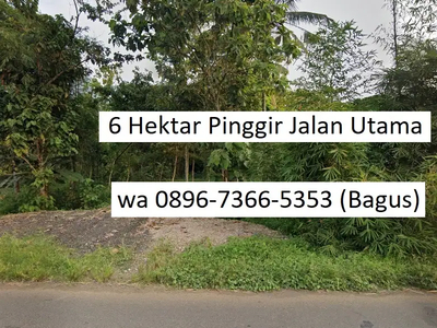 6 Hektar Pinggir Jalan Raya