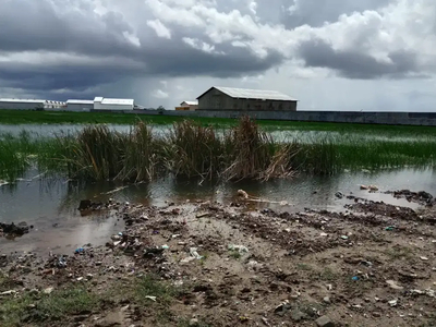 Di Jual Cepat Lahan/Tanah di Parangloe Kec. Tamalanrea Luasnya 19.669