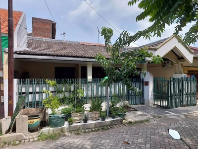 Dijual Rumah Rungkut Barata 1 Lantai Lokasi Strategis Row Jln Lebar