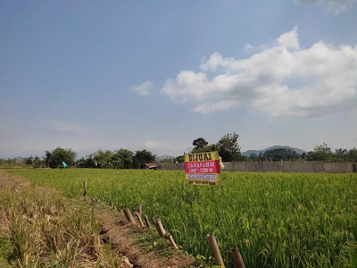 DIJUAL SAWAH SAMPING GEDUNG BPN KAB SUKABUMI