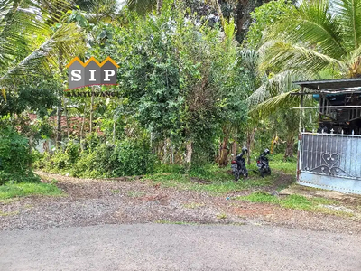 Dijual Tanah Kebun Pinggir Jalan di Bakungan, Banyuwangi