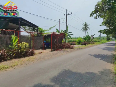 Dijual Tanah Kebun Produktif Bonus Rumah di Jl. Diponegoro, Muncar