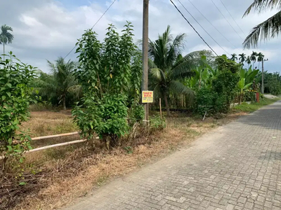 dijual tanah kosong setengah hektar