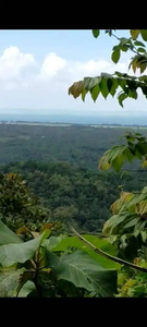 Dijual Tanah Murah di Puncak Bukit View Laut dan Bandara Yogyakarta