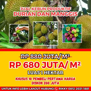 Jual Kebun Produktif Durian Dan Manggis Di Bogor