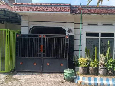 rumah shm cocok dihuni dekat masjid jalan depan mobil bs papasan