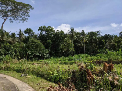 SISA 3 KAVLING TANAH VIEW SAWAH DAERAH SENTOLO KULONPROGO YK JK11671