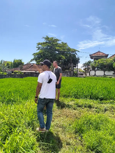 Tanah 10 are di jual, lokasi kuwum umalas 1.