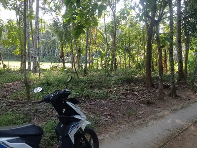 tanah murah dekat Bandara YIA Yogyakarta dan Purworejo