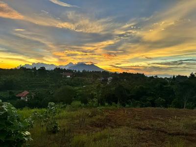 Tanah shm mountain view puncak bogor