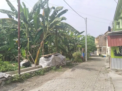 Tanah Tembalang Bulusan Dekat Kampus Undip Tembalang