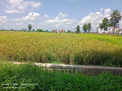 Di jual Lahan Buat Perumahan Siwal Gentan Raya