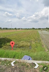 Dijual cepat BU tanah SAWAH, dekat Solo Baru