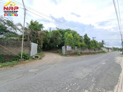 Dijual Tanah Kering Murah Strategis tepi Jl. Watugong - Srono, Bwi